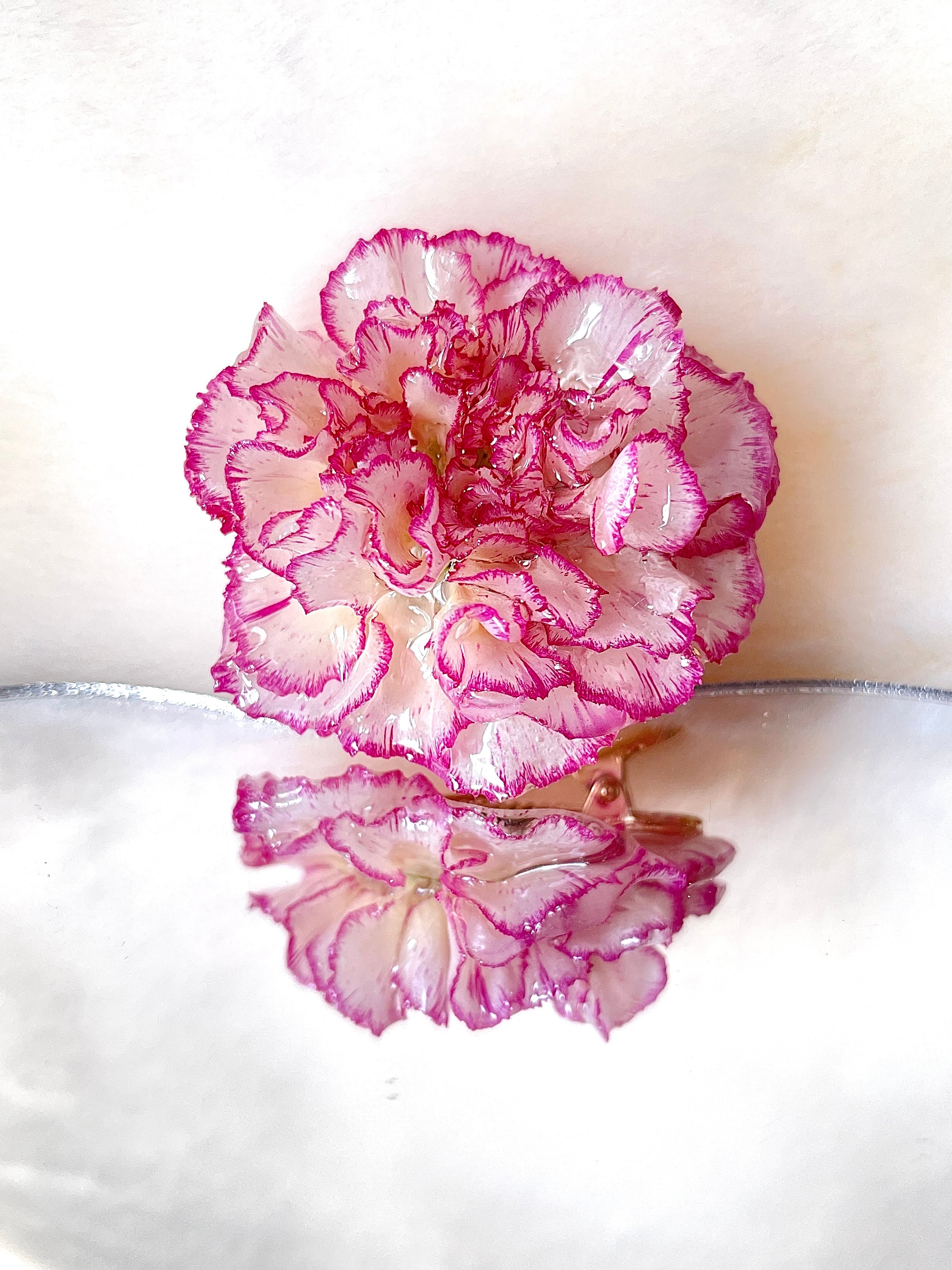 Real Carnation Hair Clip / Brooch