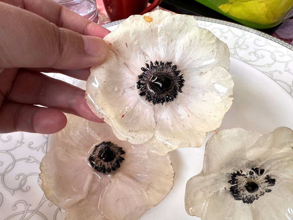 Real White Anemone Hair Clip / Brooch