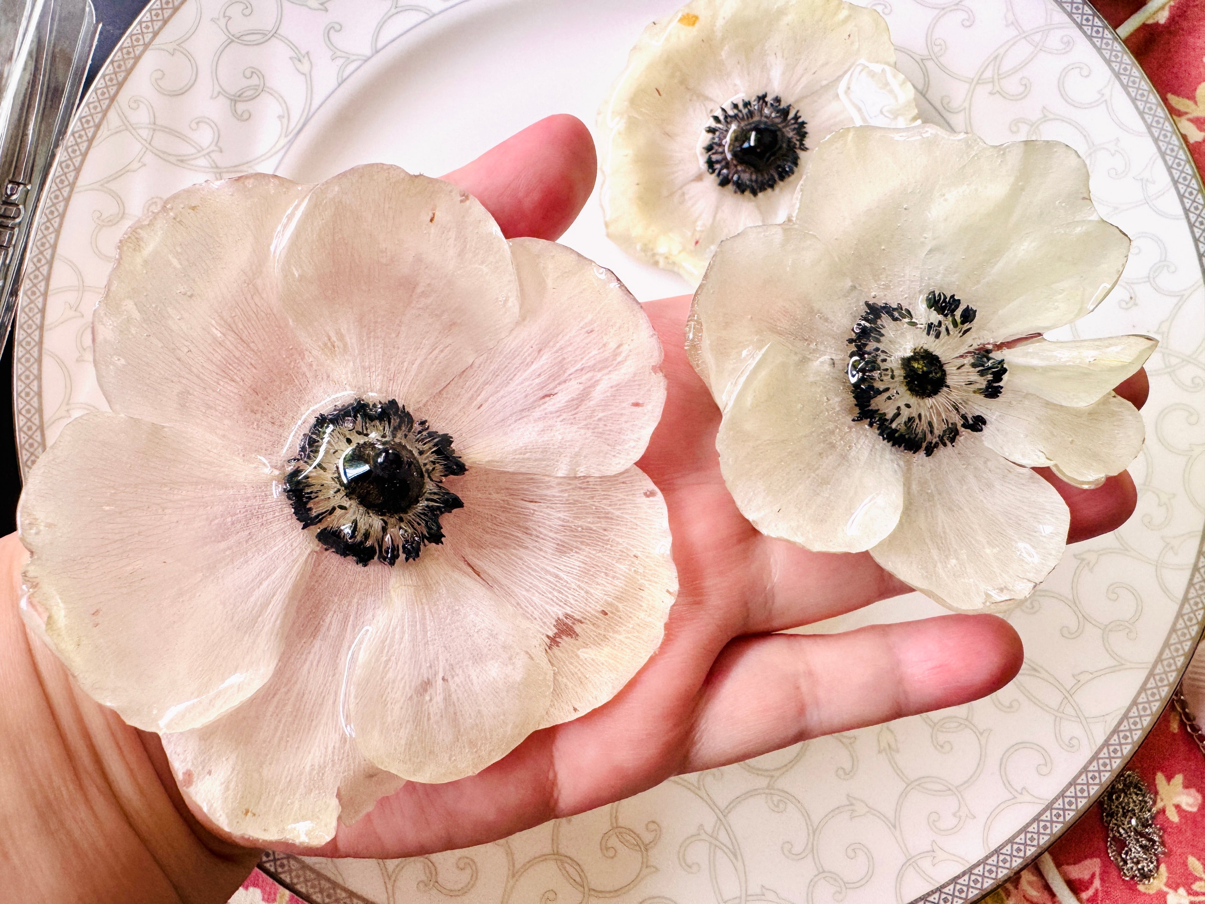 Real White Anemone Hair Clip / Brooch