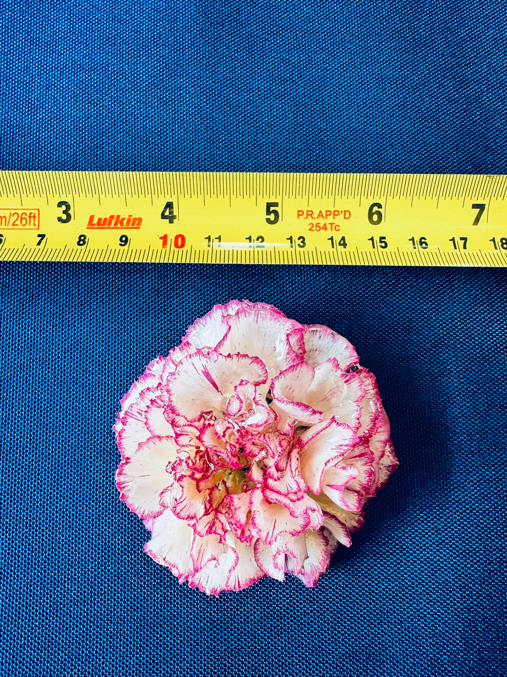 Real Carnation Hair Clip / Brooch
