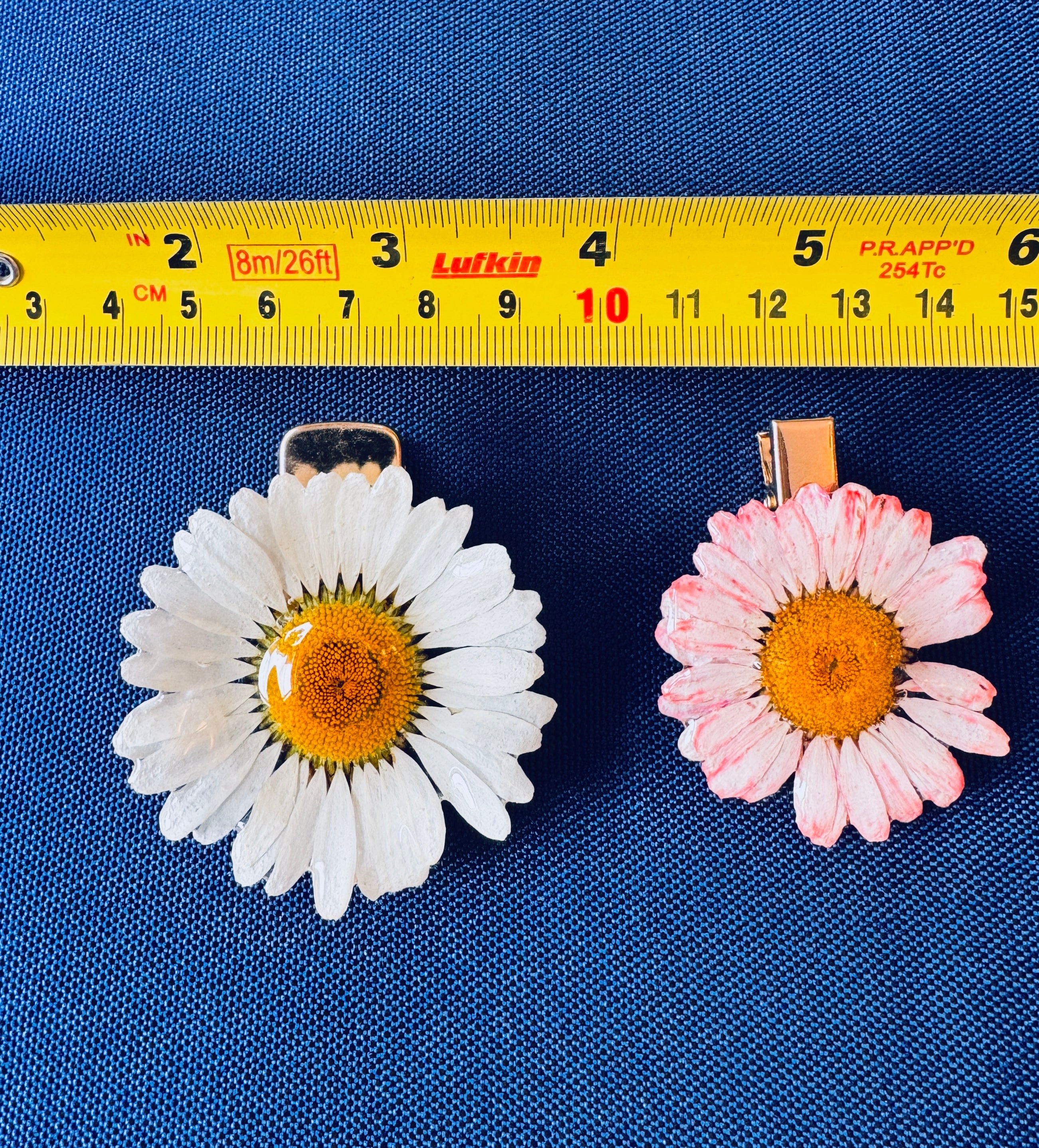 Real Wild Daisy Hair Clip / Brooch