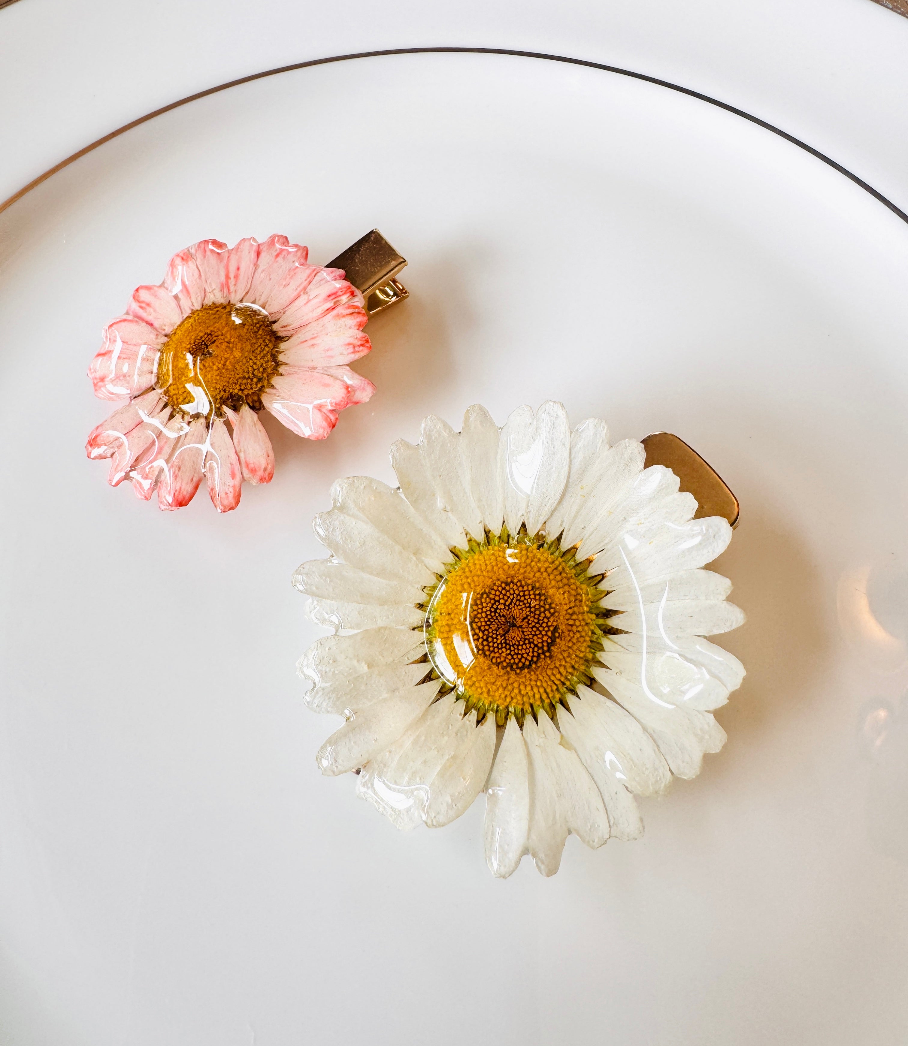 Real Wild Daisy Hair Clip / Brooch