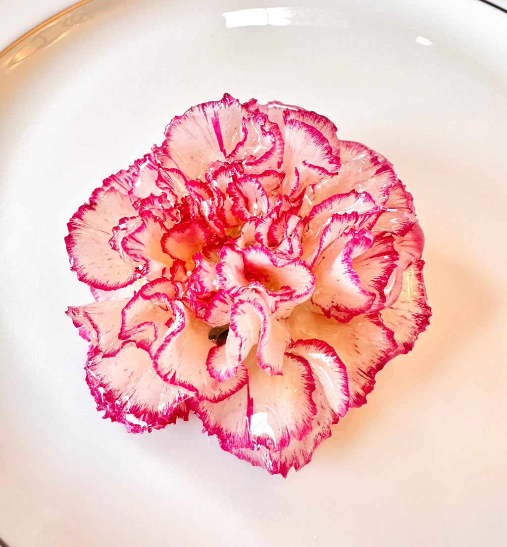 Real Carnation Hair Clip / Brooch