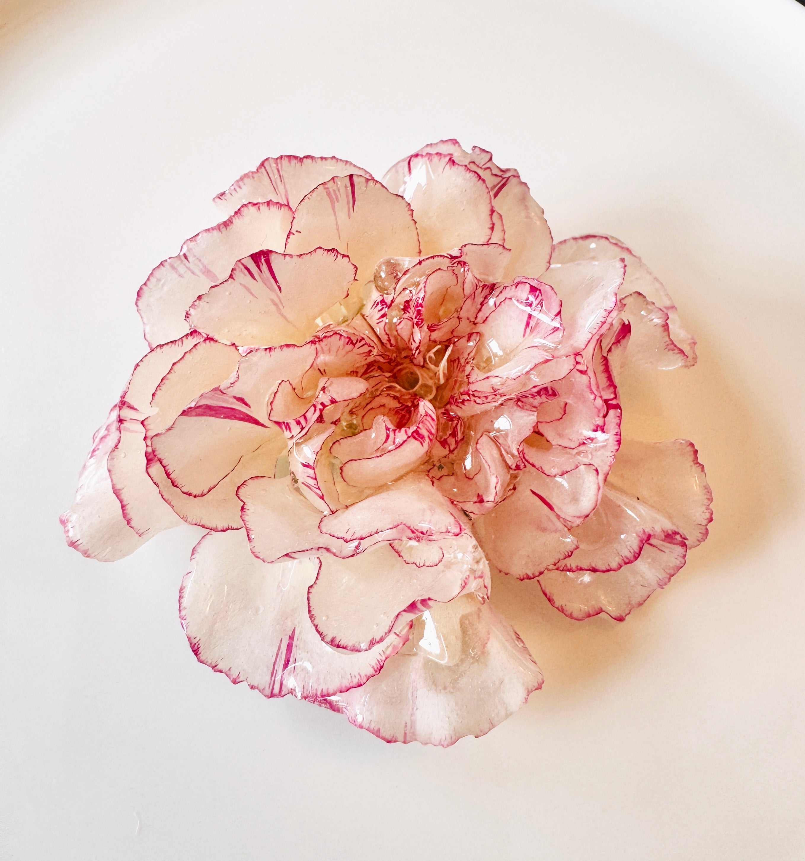 Real Carnation Hair Clip / Brooch