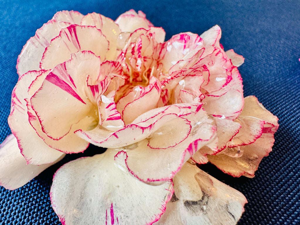 Real Carnation Hair Clip / Brooch