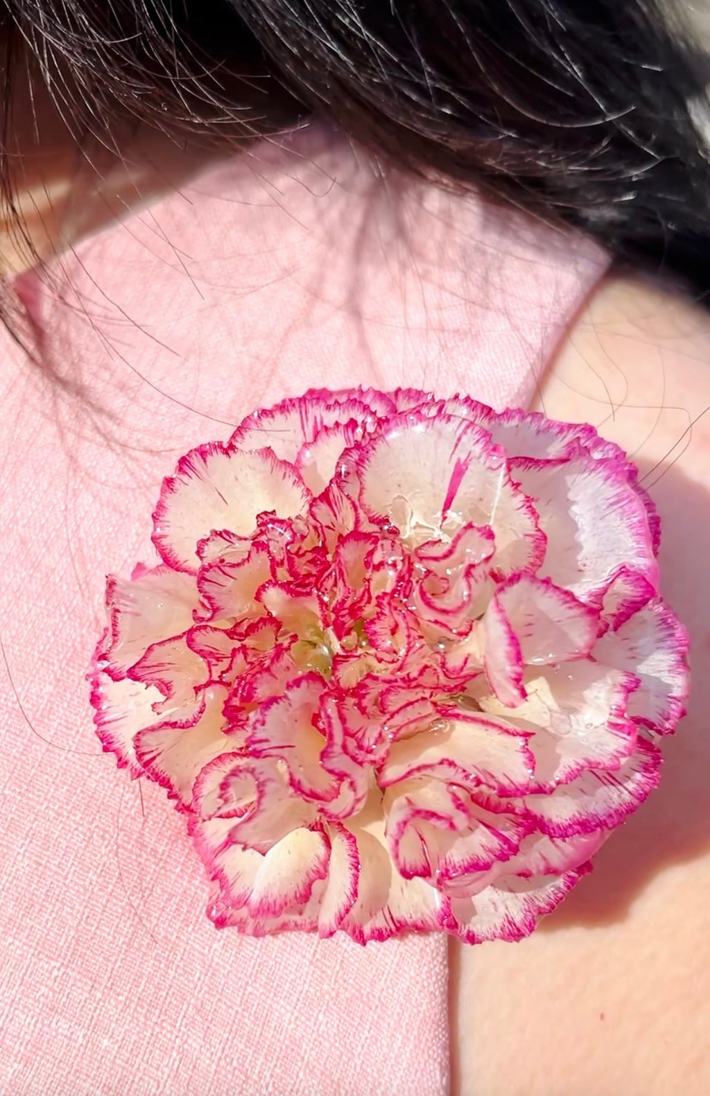 Real Carnation Hair Clip / Brooch