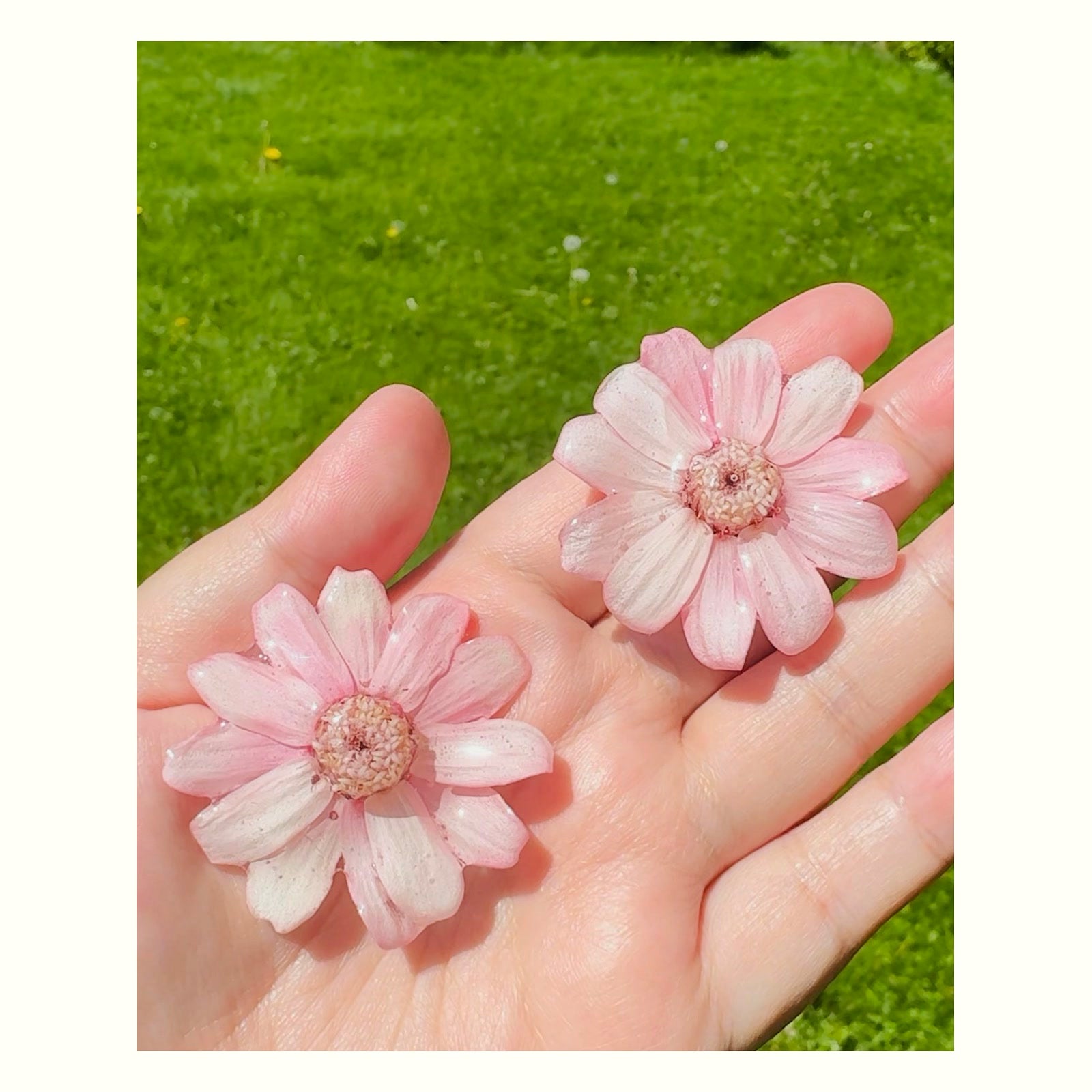 Daisy Silver Stud Earrings handmade real flower jewelry