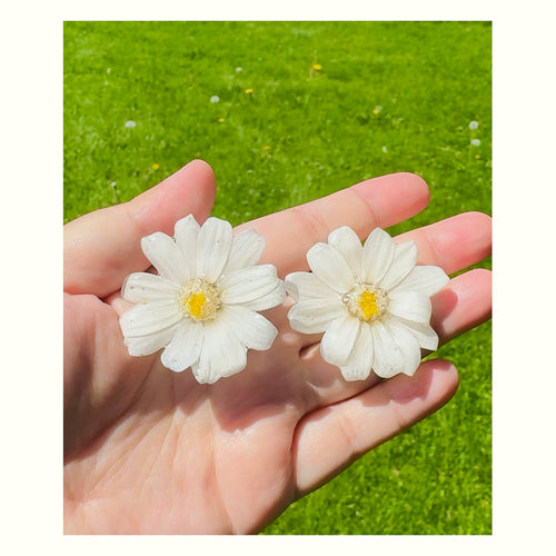 Daisy Silver Stud Earrings handmade real flower jewelry