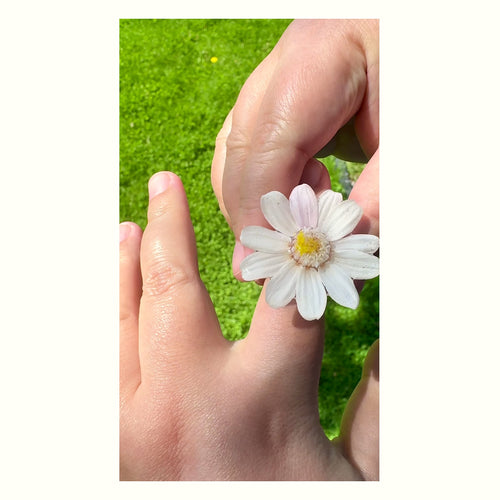 Mini Daisy Stainless Steel Ring handmade real flower jewelry