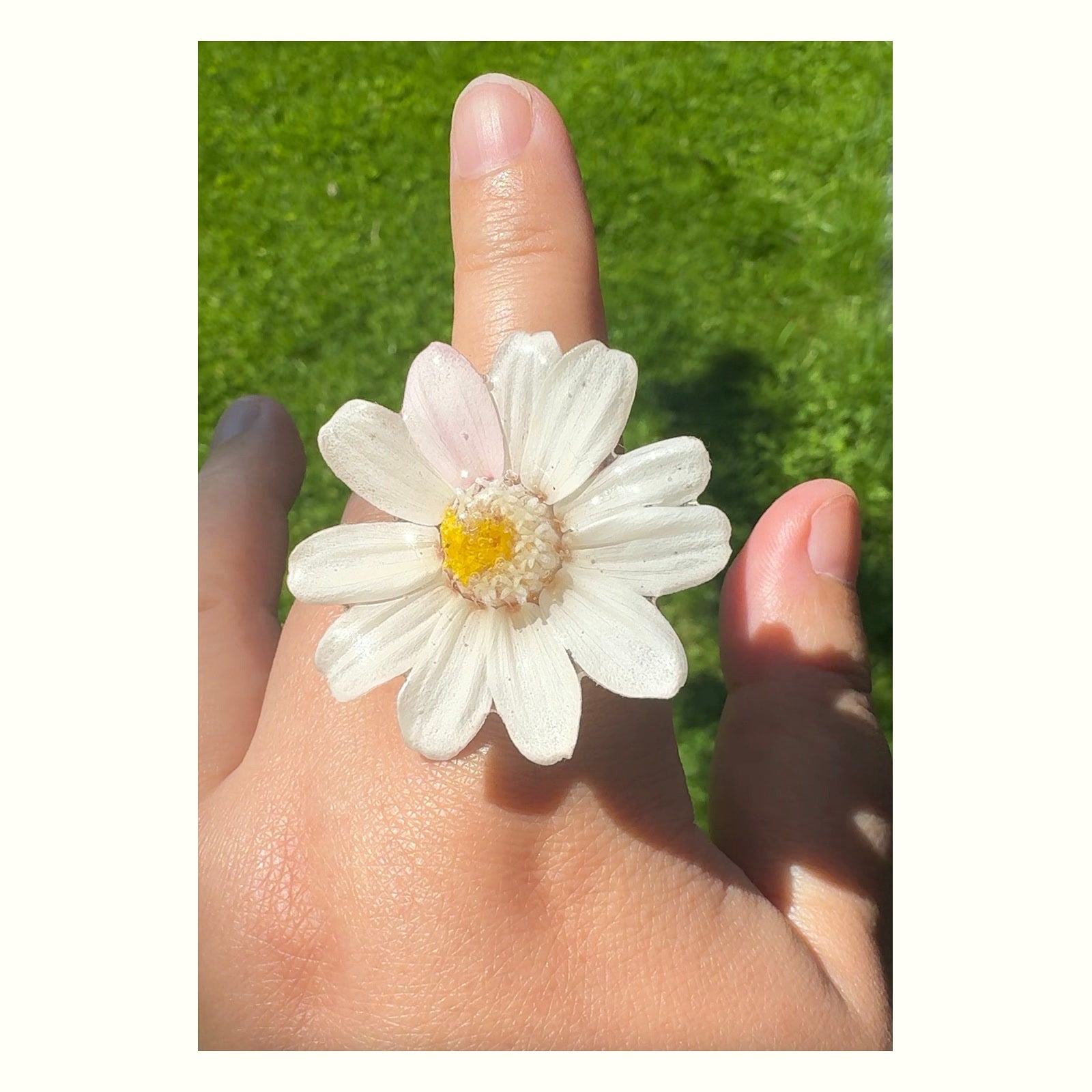 Mini Daisy Stainless Steel Ring handmade real flower jewelry