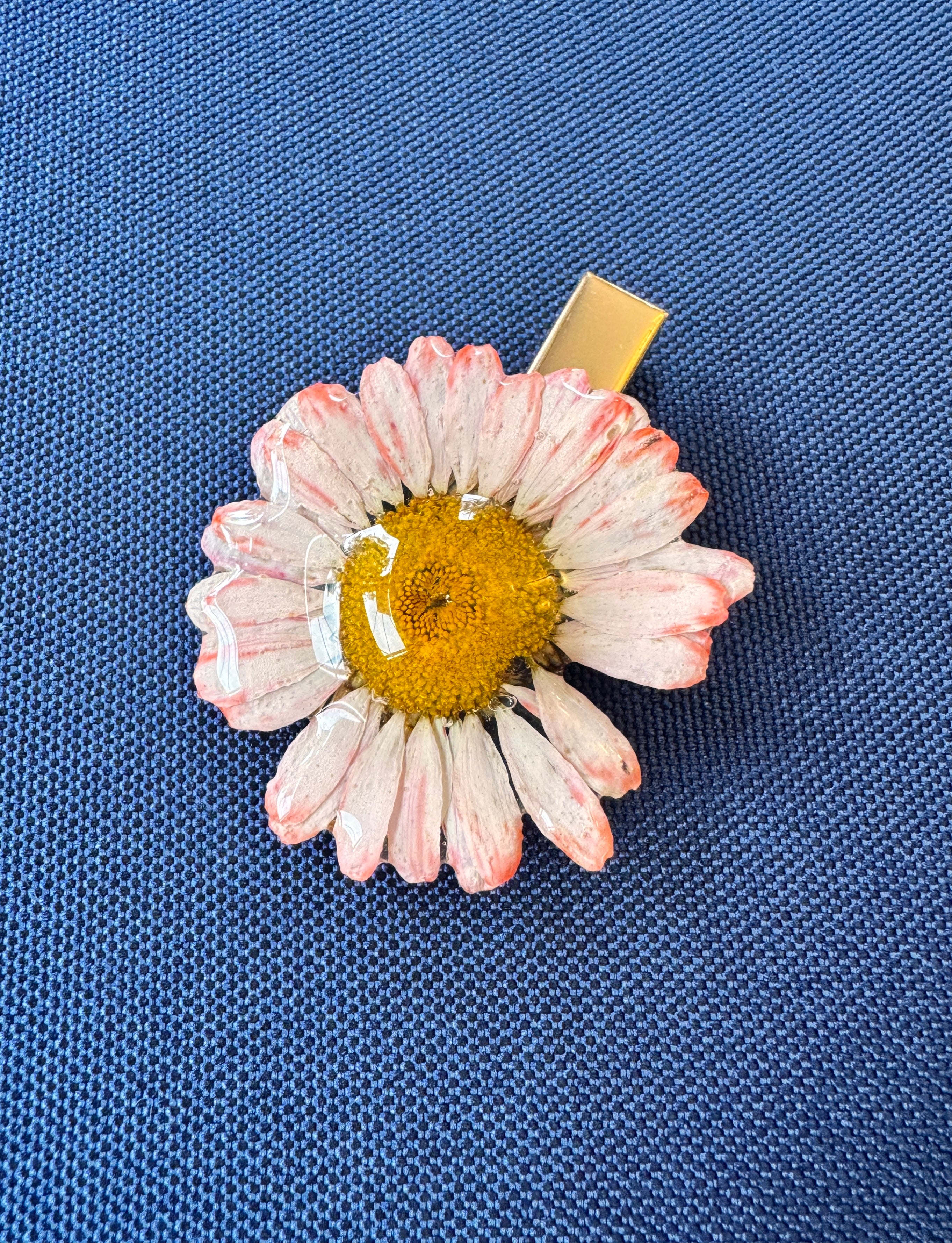 Real Wild Daisy Hair Clip / Brooch