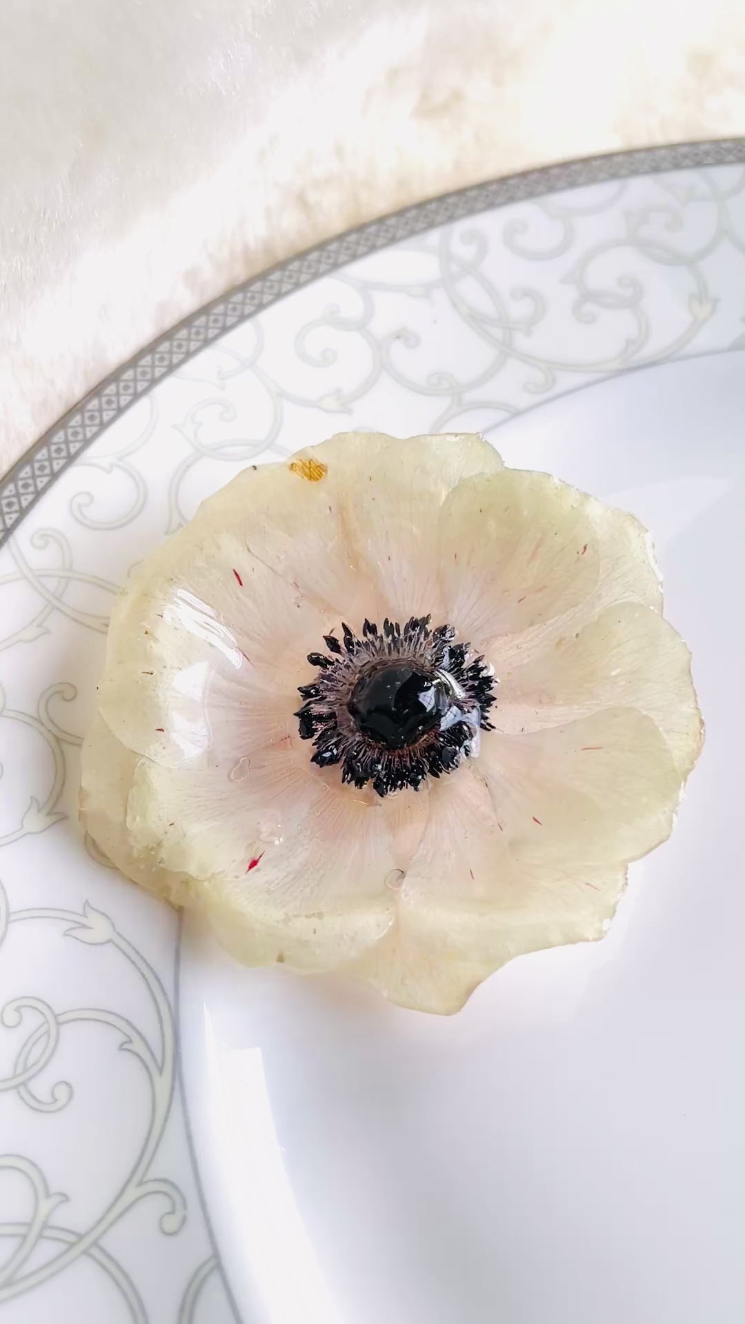 Real White Anemone Hair Clip / Brooch