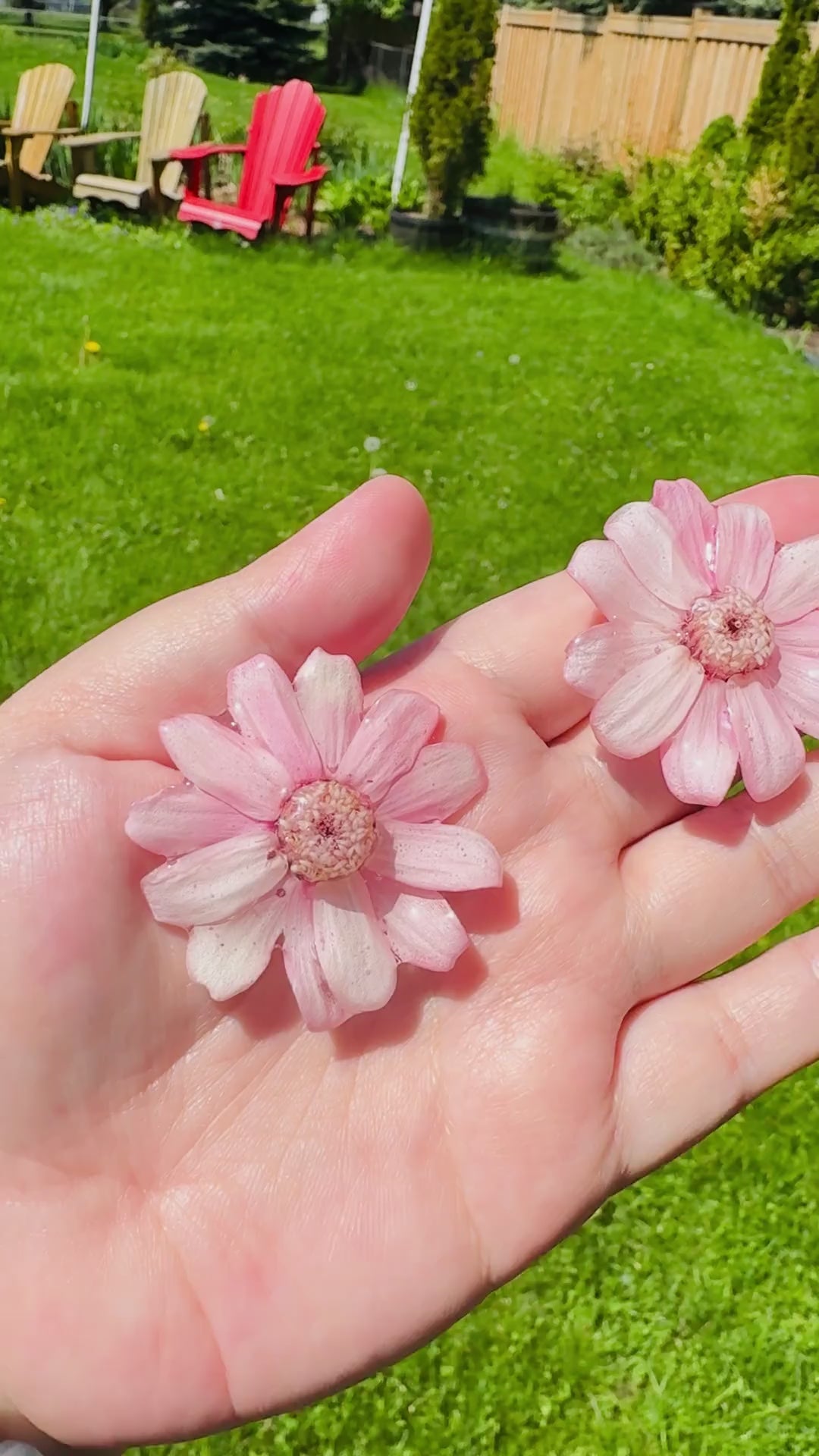 Daisy Silver Stud Earrings