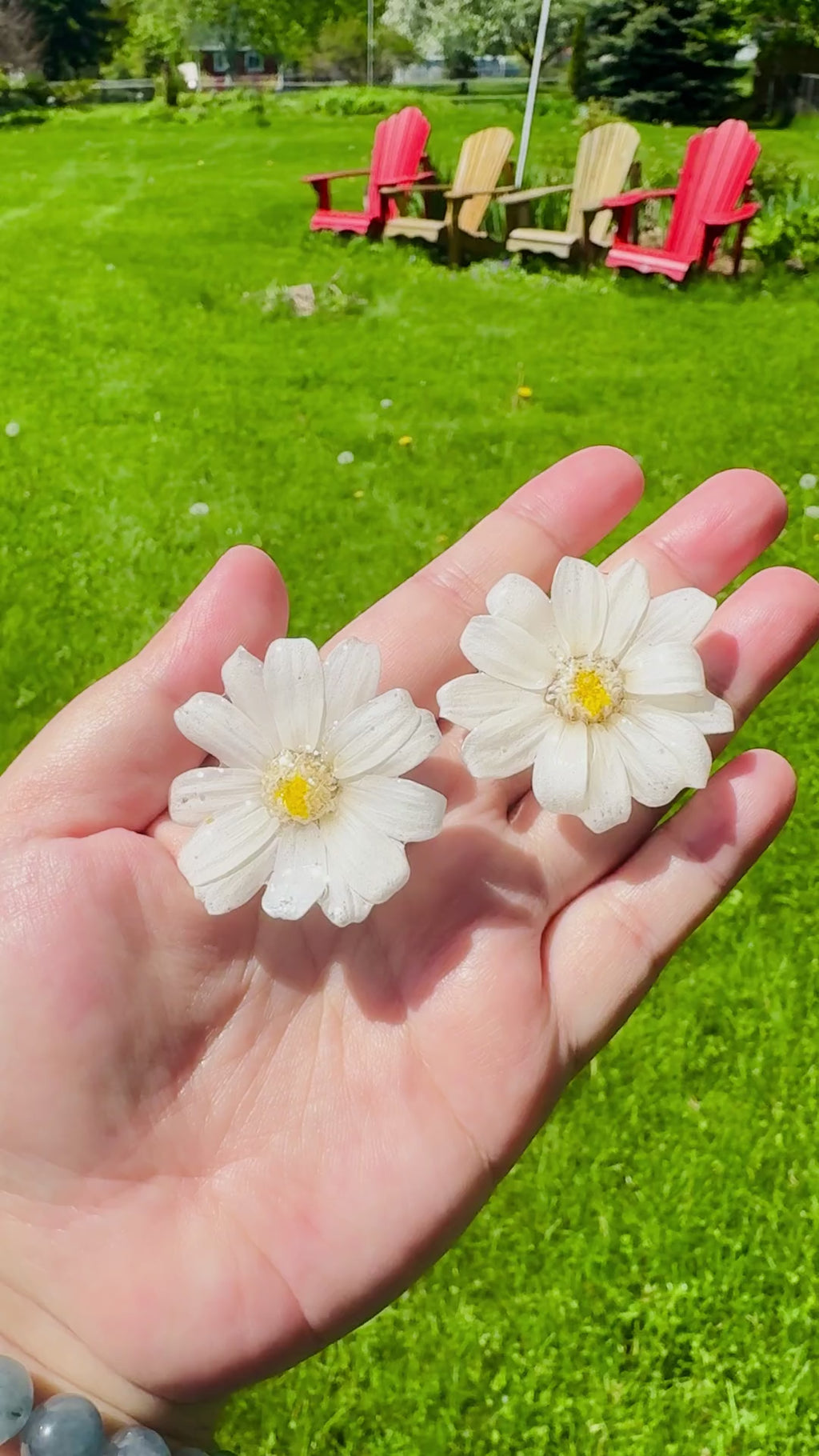 Daisy Silver Stud Earrings