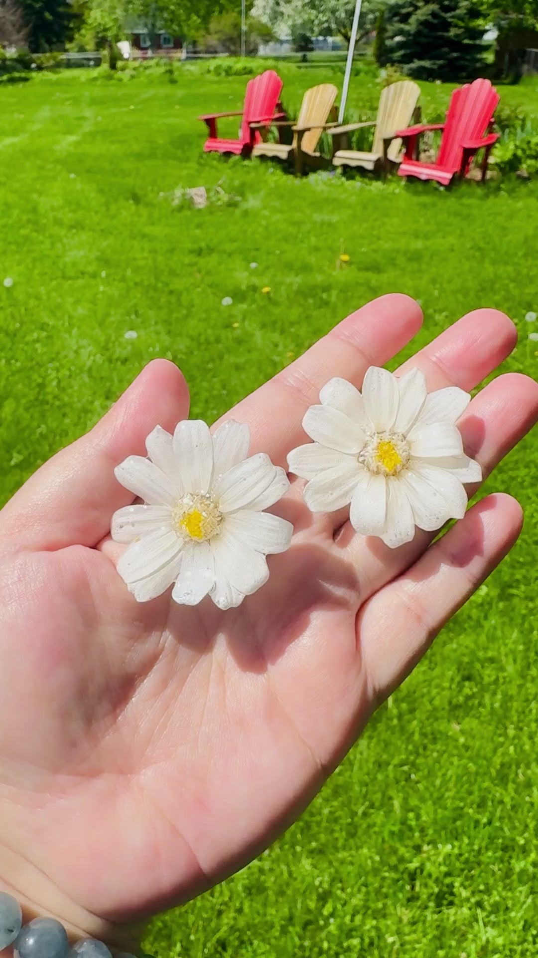 Daisy Silver Stud Earrings
