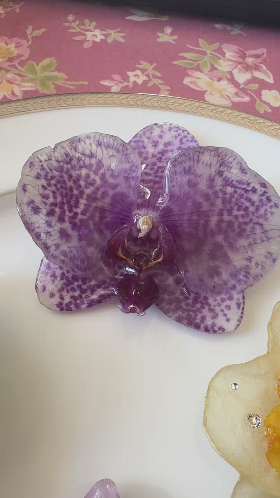 Purple Striped Phalaenopsis Orchid Hair Clip / Brooch