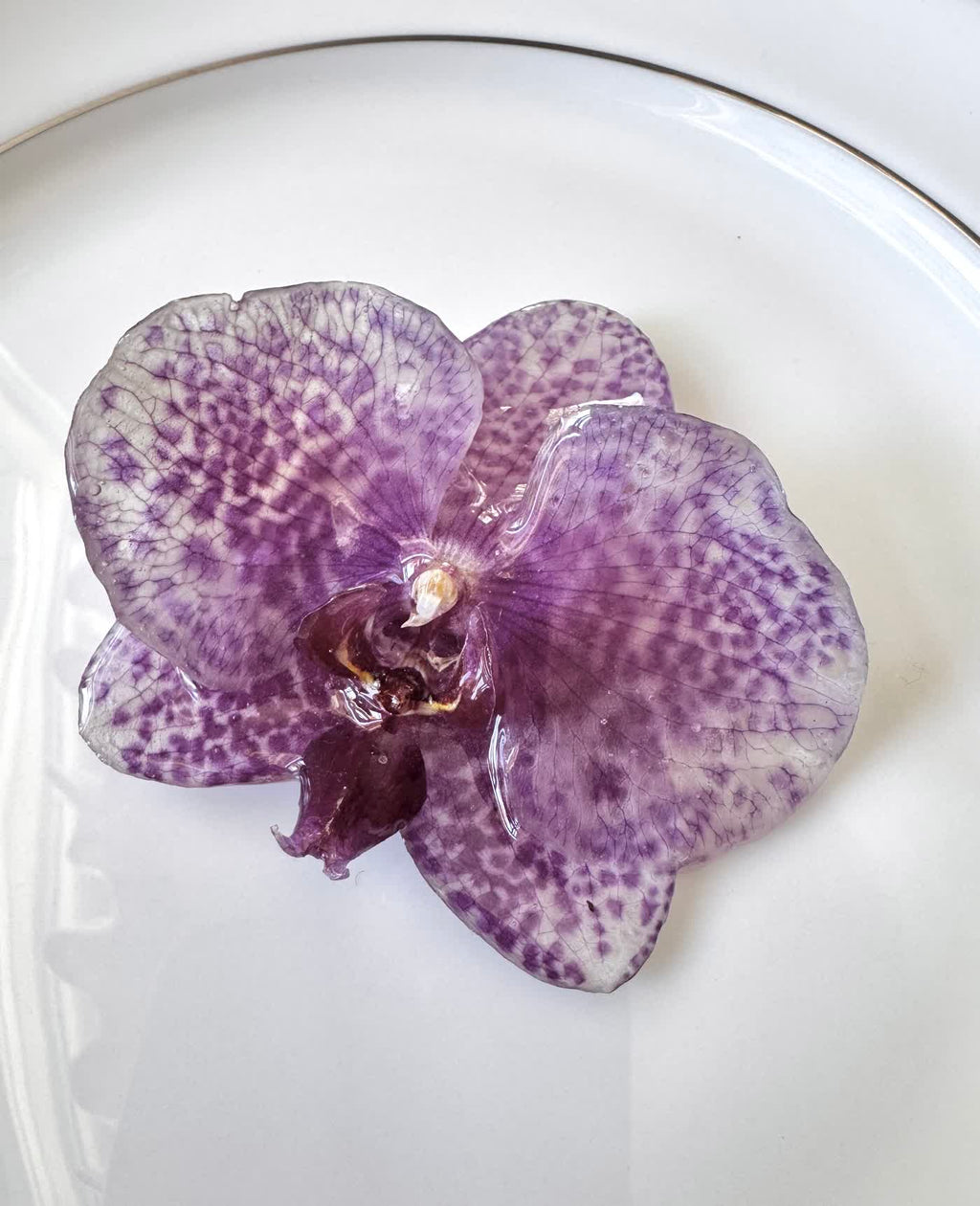 Purple Striped Phalaenopsis Orchid Hair Clip / Brooch