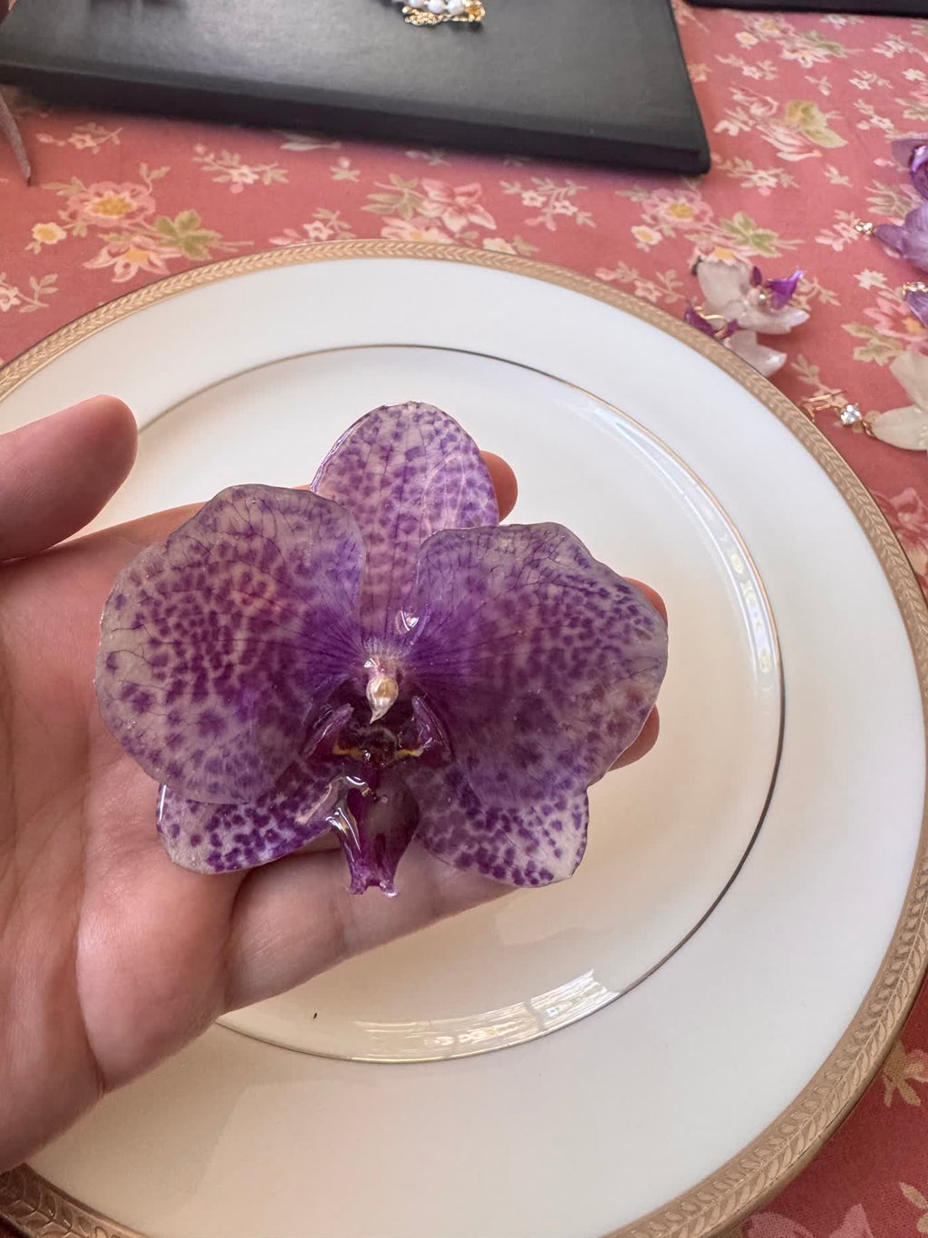 Purple Striped Phalaenopsis Orchid Hair Clip / Brooch