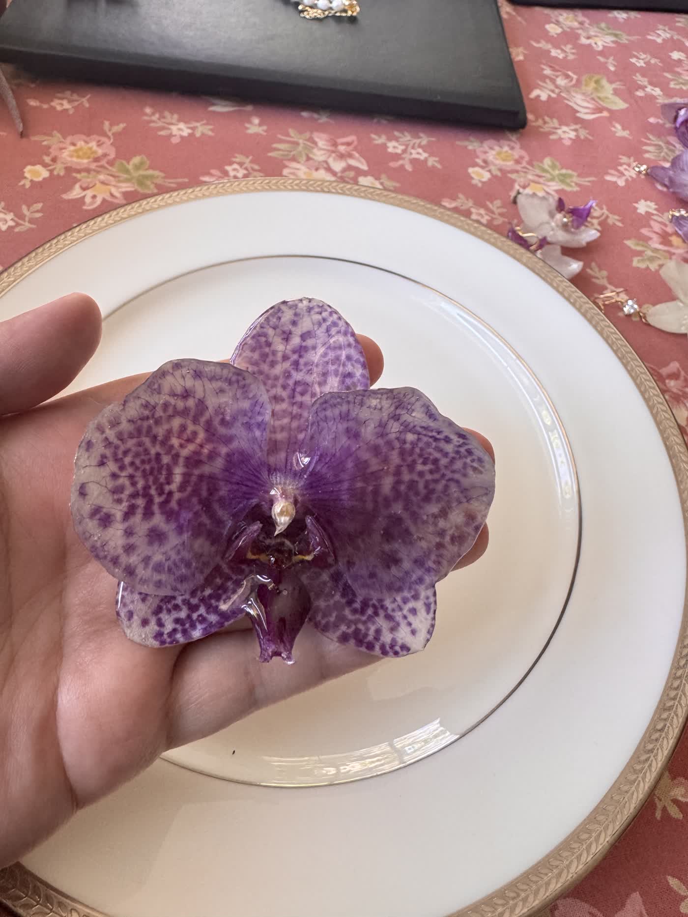 Purple Striped Phalaenopsis Orchid Hair Clip / Brooch