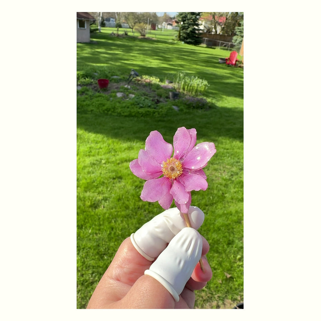 Real Wild Cotton Flower Stainless Steel Necklace handmade real flower jewelry