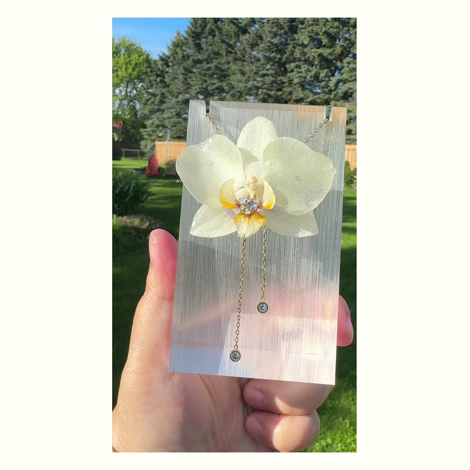 White Phalaenopsis Orchid Stainless Steel Necklace - Version 1 handmade real flower jewelry