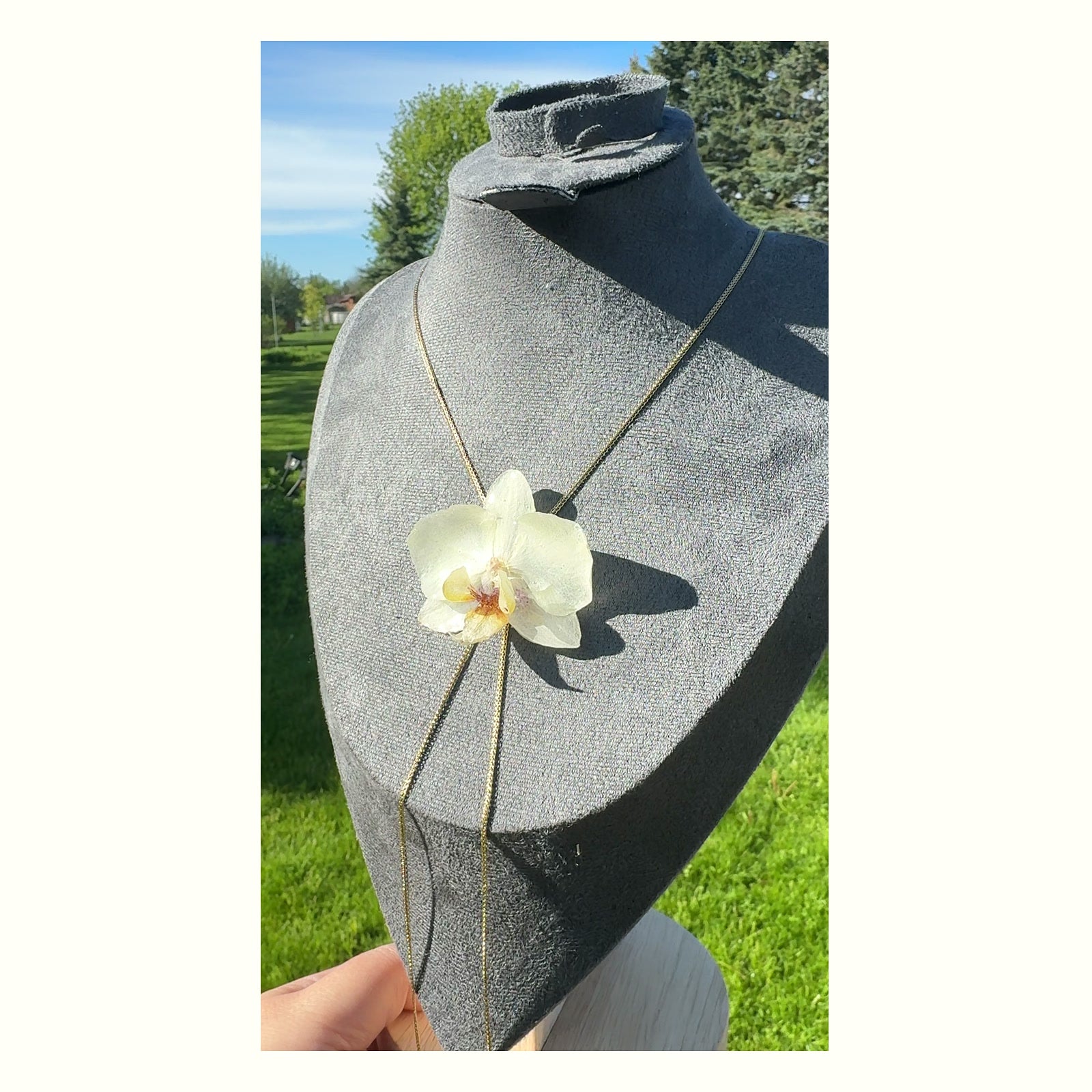 White Phalaenopsis Orchid Stainless Steel Necklace - Version 2 handmade real flower jewelry